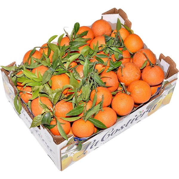 Clementine With Leaf (Mandarin) Box