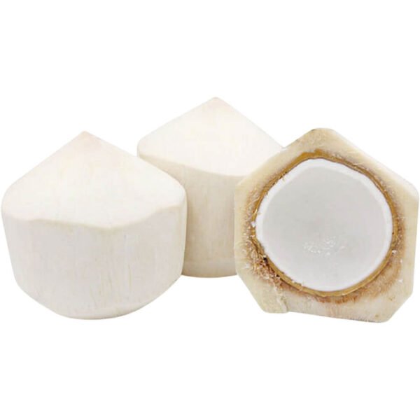 Coconut Tender Thailand