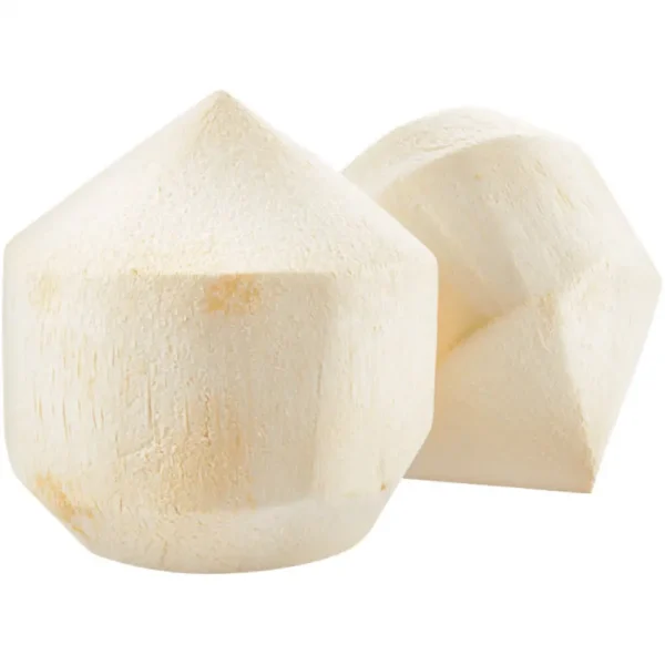 Coconut Vietnam