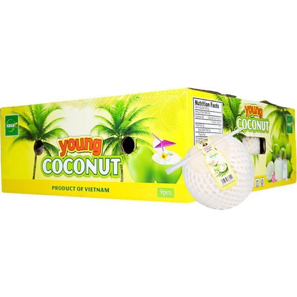 Coconut Vietnam Box