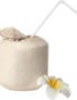 Coconut Water