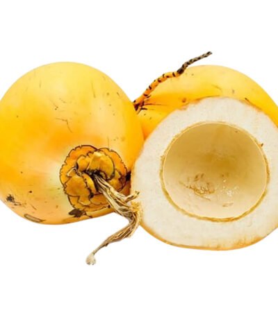 Coconut Young Sri Lanka