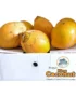 Coconut Young Sri Lanka Box