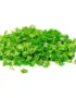 Coriander Chopped