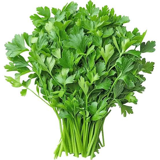Coriander Coriander | Cilantro