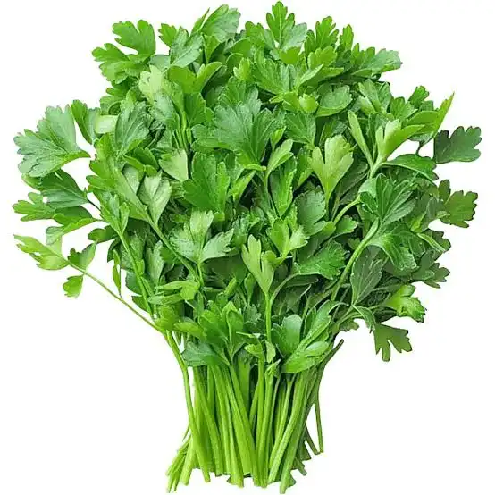 Coriander Coriander | Cilantro