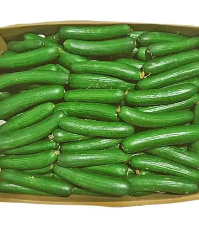 Cucumber Box