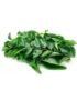 Curry Leaves