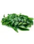 Curry Leaves