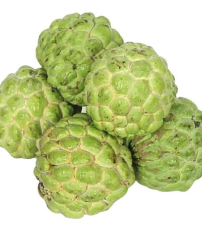 Custard Apple