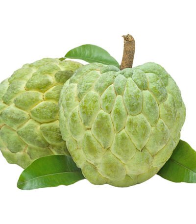 Custard Apple Brazil