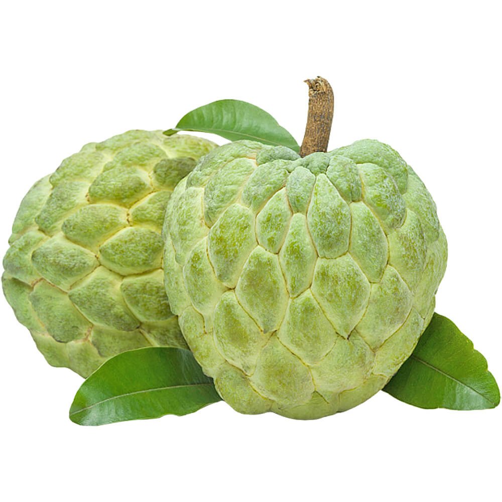 Custard Apple Brazil