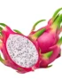 Dragon Fruit