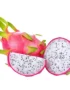 Dragon Fruit White