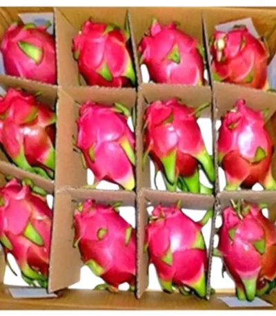 Dragon Fruit White Box