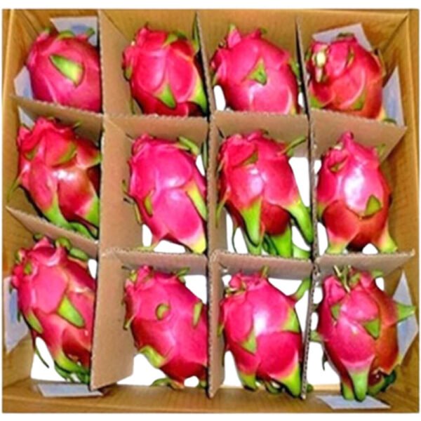 Dragon Fruit White Box