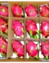 Dragon Fruit White Box