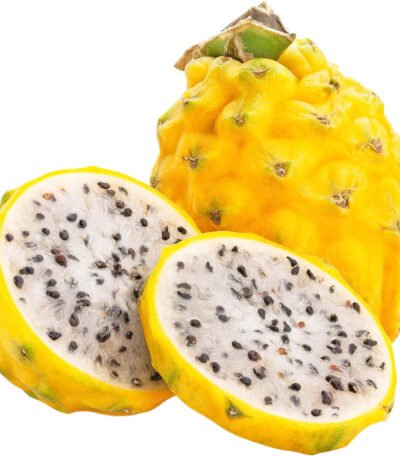 Dragon Fruit Yellow