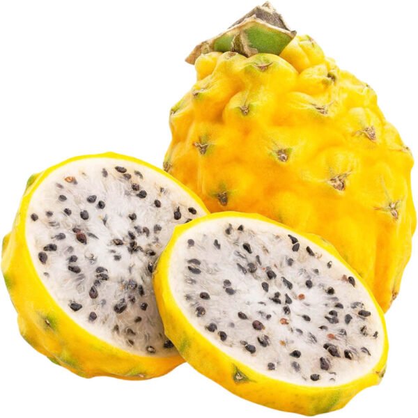 Dragon Fruit Yellow