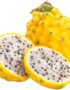 Dragon Fruit Yellow