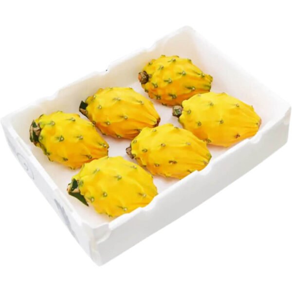Dragon Fruit Yellow – Box
