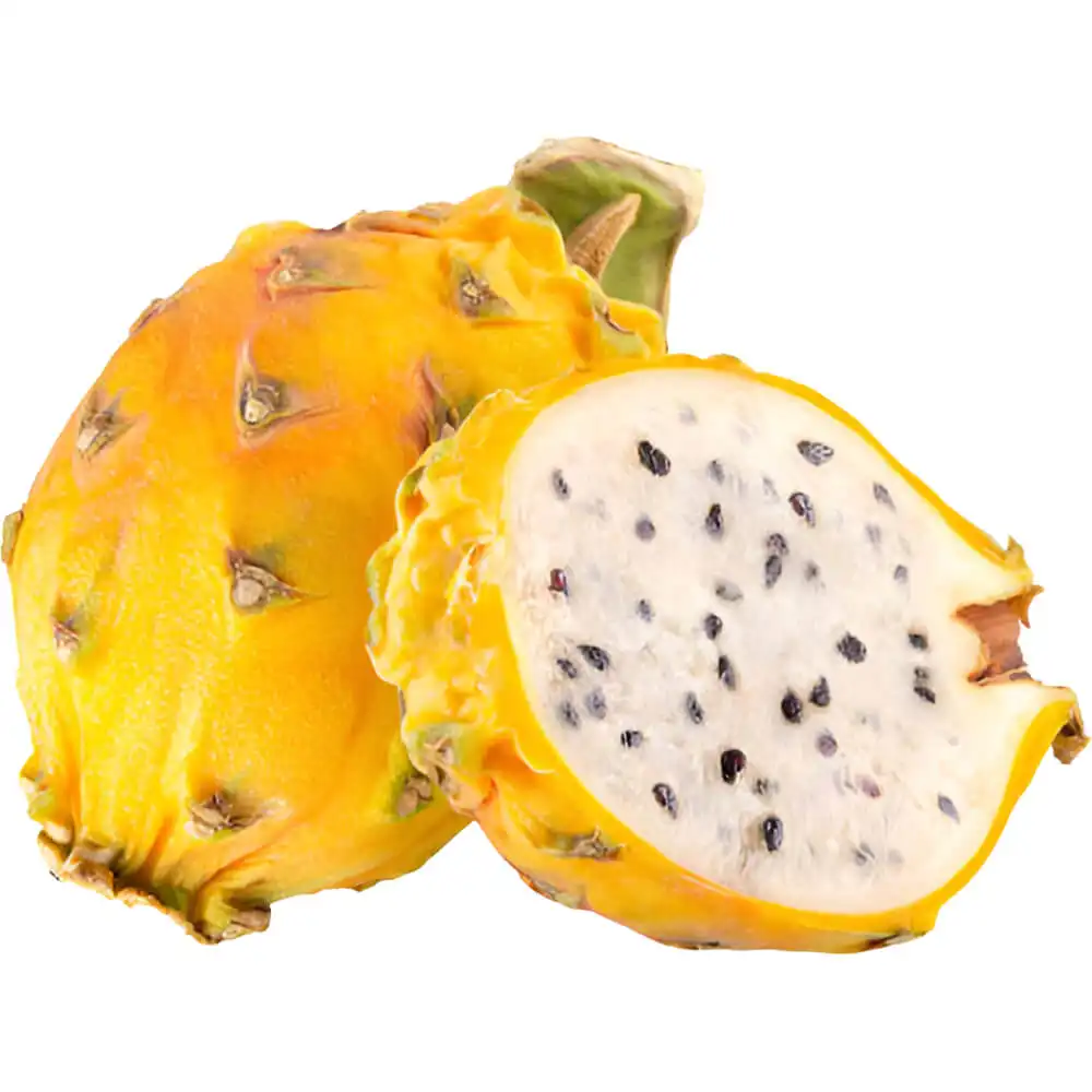 Dragon Fruit Yellow Dragon Fruit Yellow