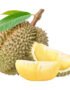 Durian