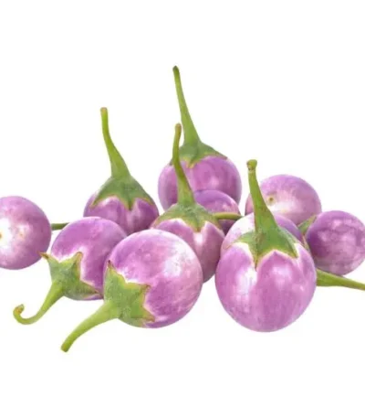 Eggplant Baby Pink