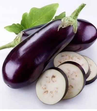 Eggplant Long