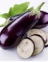 Eggplant Long