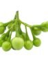 Eggplant Pea