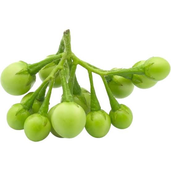 Eggplant Pea