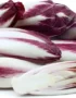 Endive Red
