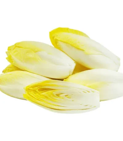 Endive White
