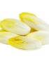 Endive White