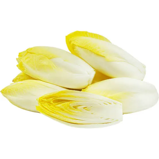 Endive White