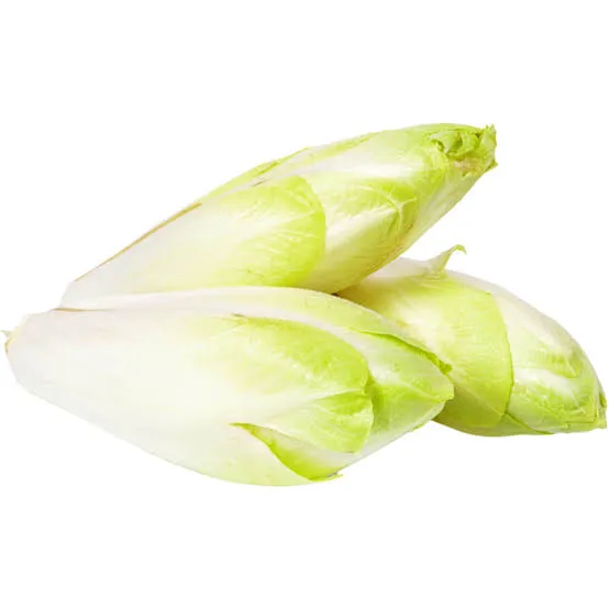 Endives White Chicory Endives White Chicory