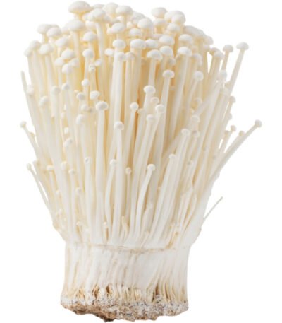 Enoki Mushroom