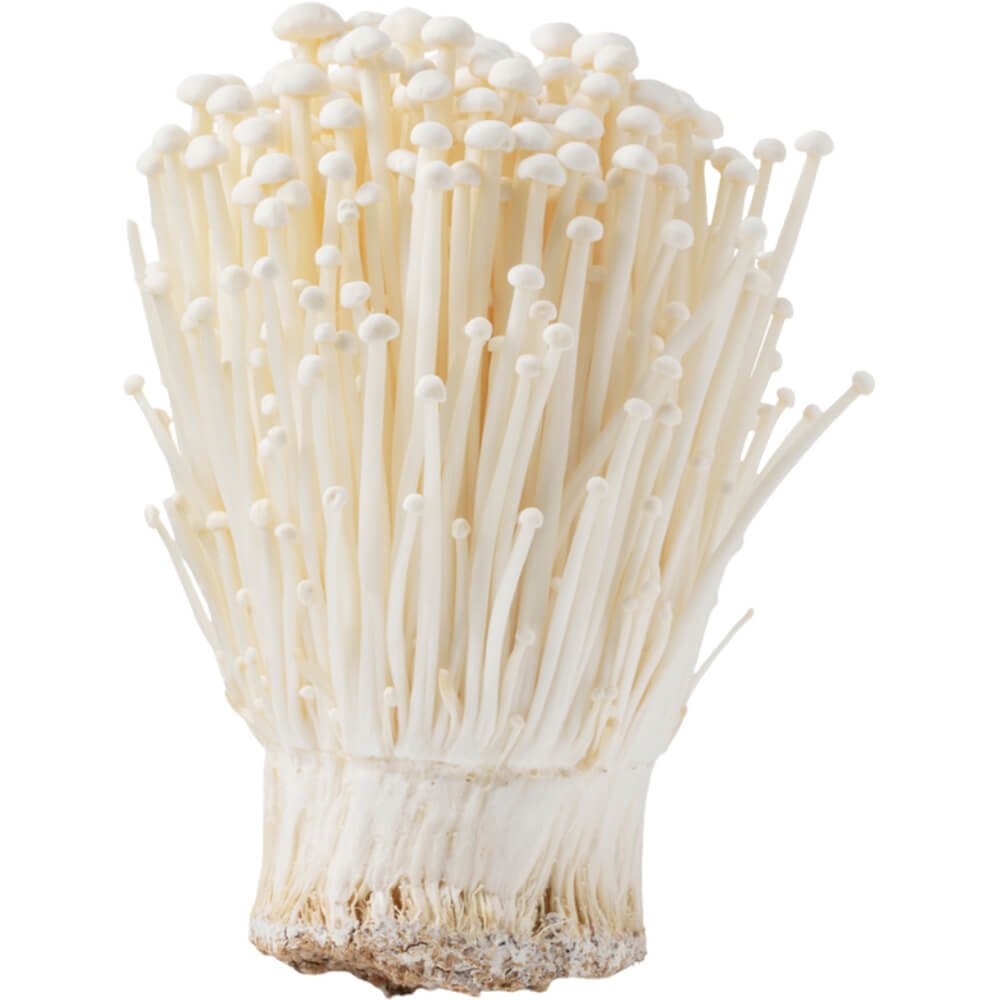 Enoki Mushroom