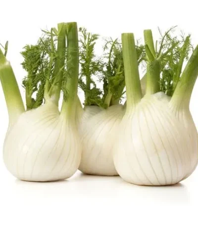 Fennel Holland