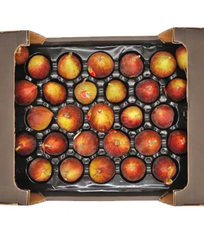 Fig Box