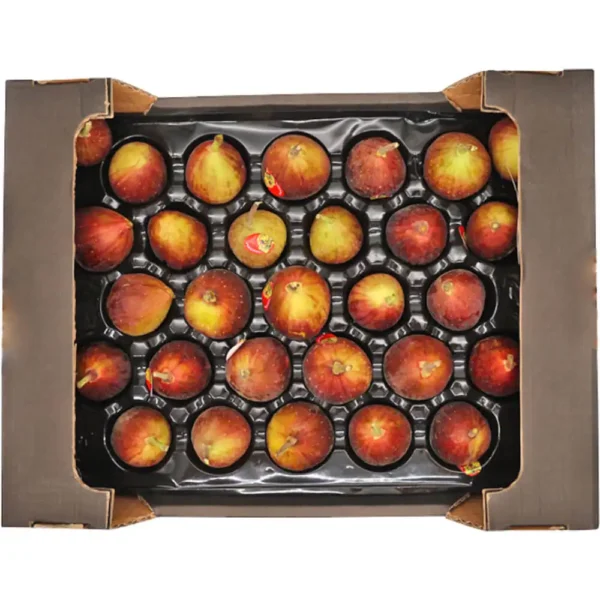 Fig Box