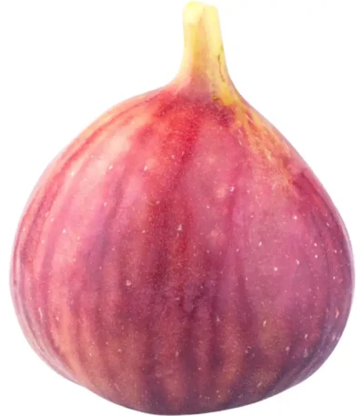 Figs