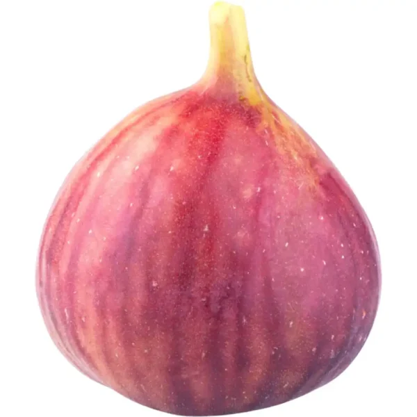 Figs