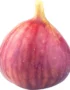 Figs