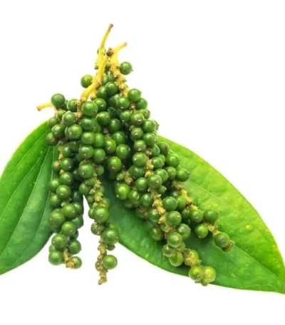 Fresh Black Pepper