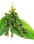 Fresh Black Pepper