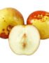 Fresh Chinese Jujube