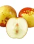 Fresh Chinese Jujube