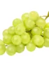 Grapes Green Seedless